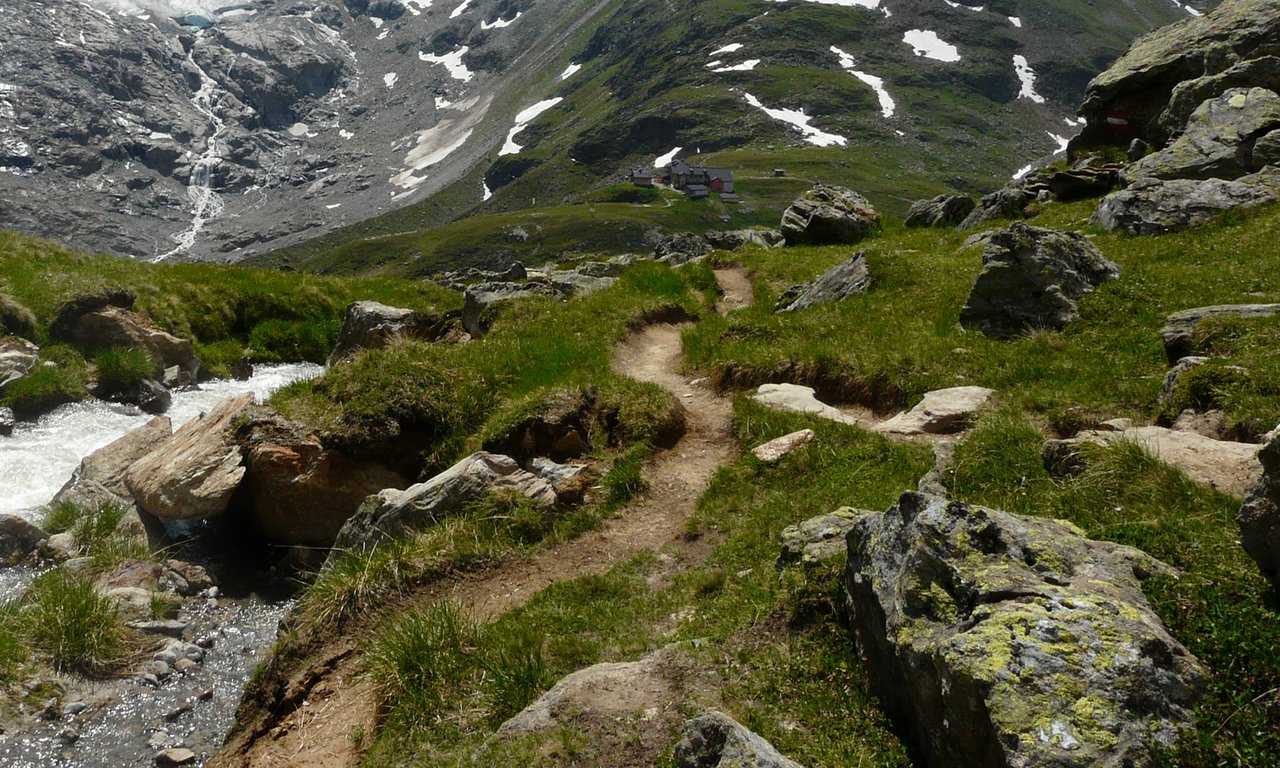Blick auf den Taschachferner