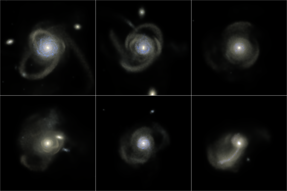 Simulated Galxy Haloes