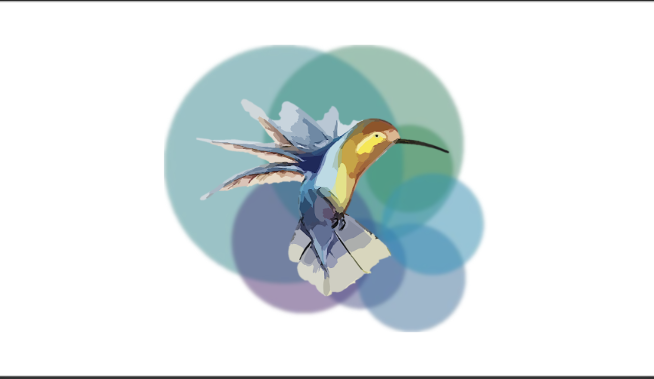 Illustration Kolibri