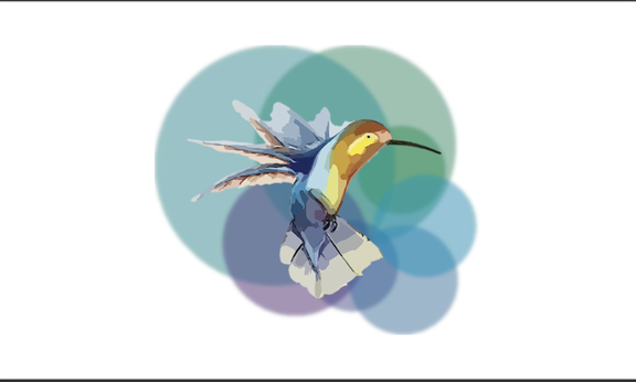 Illustration Kolibri