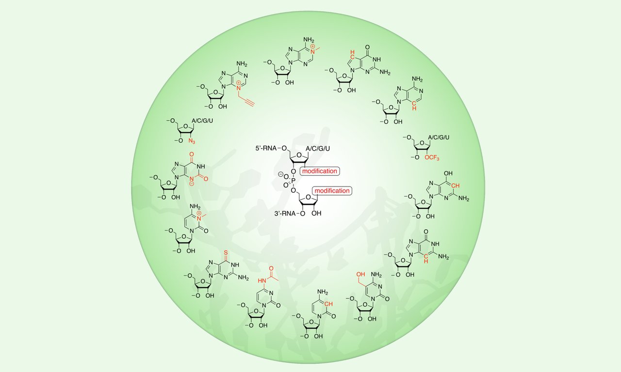 Schematische Darstellung von unterschiedlichen RNA-Verbindungen in einem grünen Kreis vor grünem Hintergrund