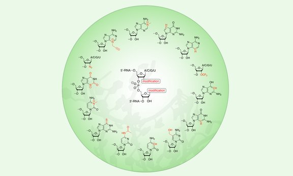 Schematische Darstellung von unterschiedlichen RNA-Verbindungen in einem grünen Kreis vor grünem Hintergrund