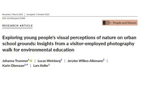 Übersichtsbild Publikation