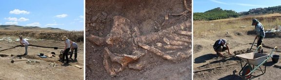 Grabungsbilder aus Ascoli Satriano