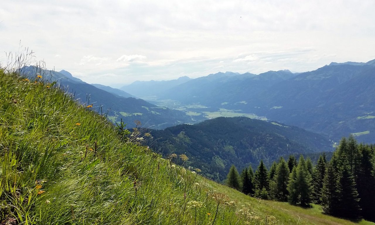 the Alps