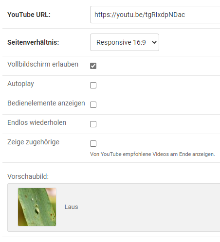 YouTube: Optionen