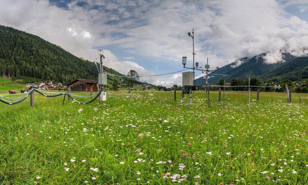 Wiese im Stubaital