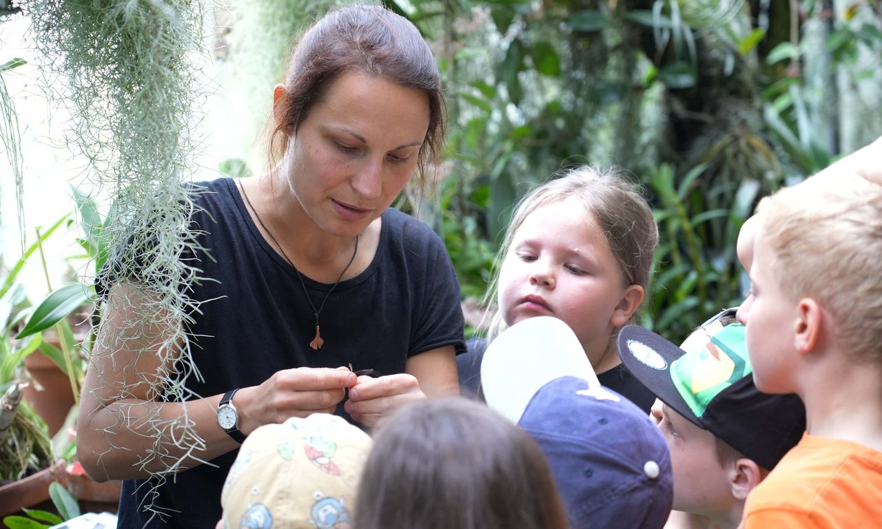 Ramona Roach von der Grünen Schule zeigt mehreren Kindern etwas, im Hintergrund Pflanzen in einem Glashaus.