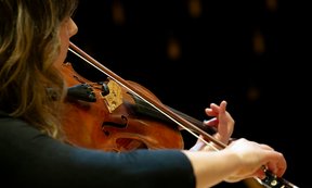 Frau von hinten, spielt Violine