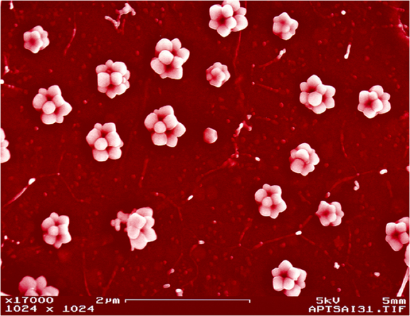 QUASI-PERIODIC CRYSTALS