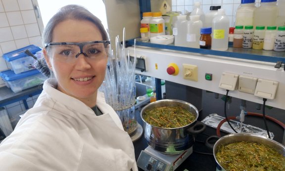 A person wearing safety goggles in front of a laboratory table with two head pots in which plant remains can be seen.