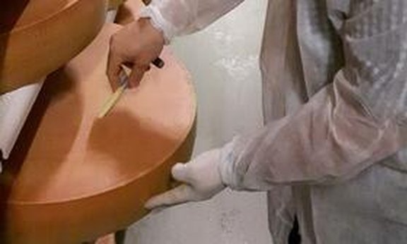 Person in einem weißen Hygienanzug sticht aus einem Laib Käse eine Probe heraus.