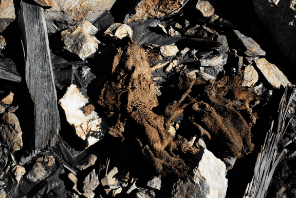 Goldzeche_Textil-in-situ