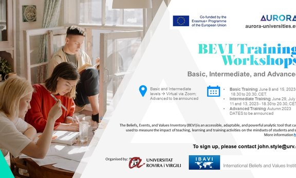 BEVI Training Workshops: Basic, Intermediate and Advanced