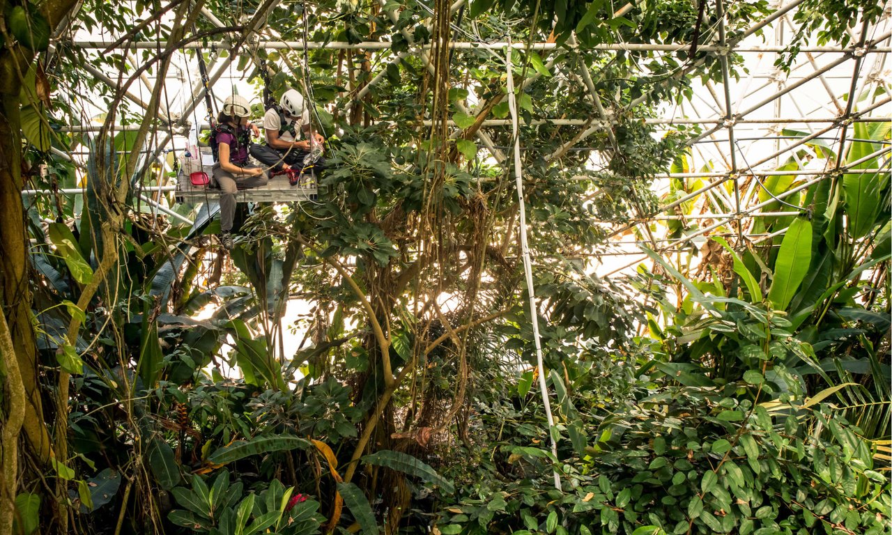 Blick in die Biosphere