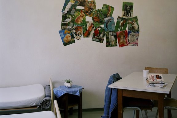 Man sieht links ein spartanisches Bett, rechts einen kleinen Tisch mit einem Buch darauf. Die Wand dahinter ist mit Bildern von Tieren vollgepflastert.