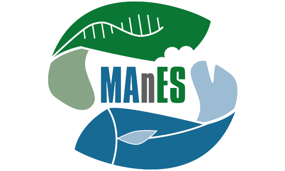 grün-blaues Logo mit Fischen