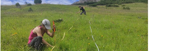Lucia_measuring-heights