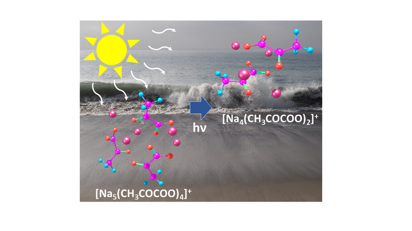 Scheme of photochemical reactions