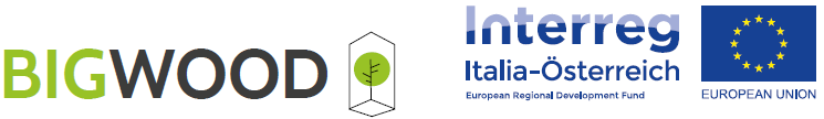 Logo BIGWOOD