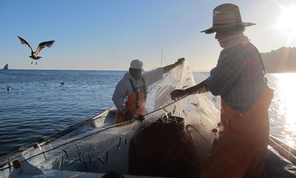Fischer bei der Arbeit in Baja California Sur in Mexiko