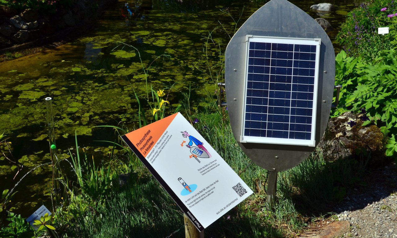„Plant Stories“ im Botanischen Garten