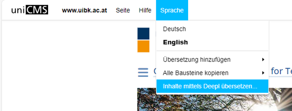 Seite mit DeepL übersetzen