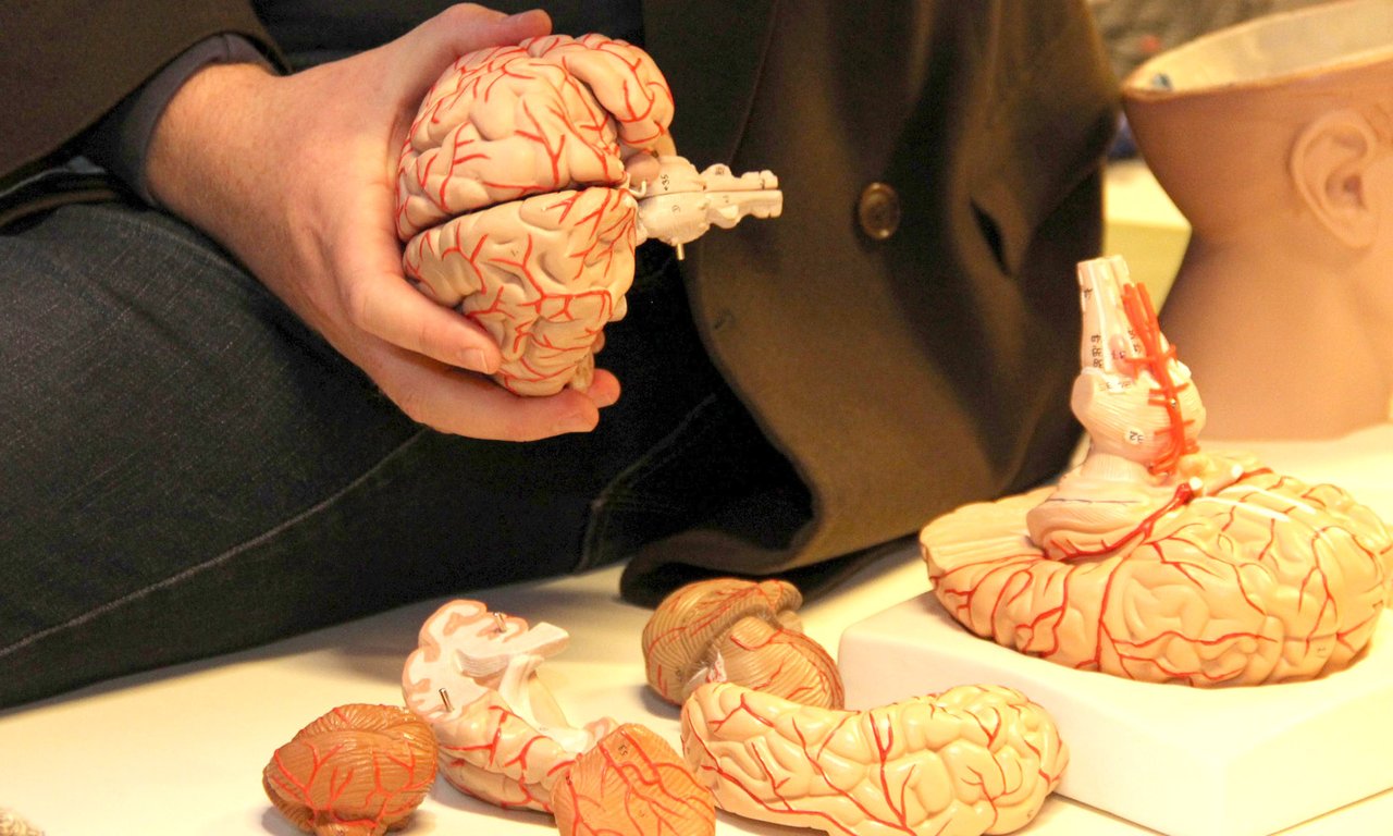 Brain Day