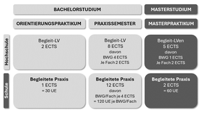 Aufbau und Umfang der Praktika