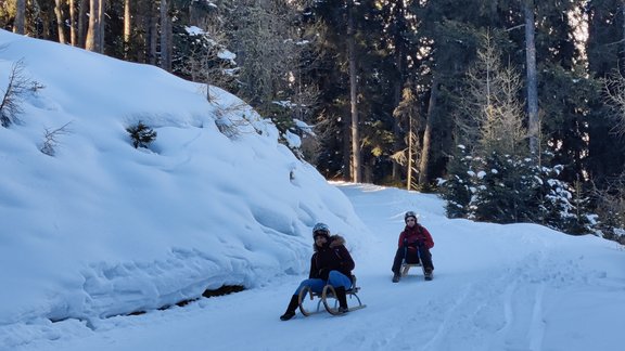 Zwei Personen fahren auf Rodeln durch den schneebedeckten Wald