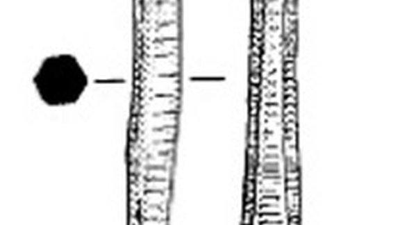 Dreizinkbohrer Farchant
