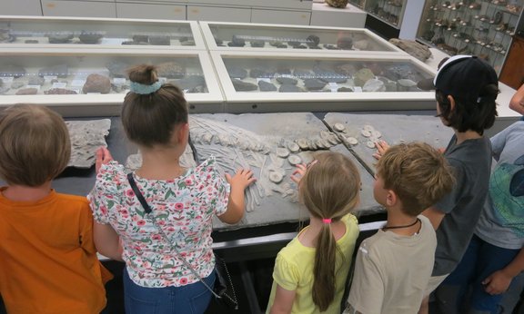 Kinder erfühlen die Überreste eines Ichthyosauriers.