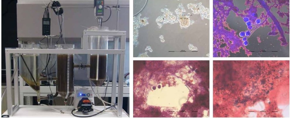 Laborkläranlage und Beispiele mikroskopischer Klärschlammpräparate