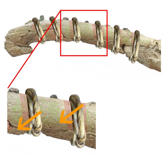Holzstäbchen in Ringhaut gesteckt
