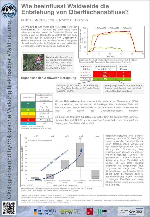 Wie beeinflusst Waldweide die Entstehung von Oberflächenabfluss?