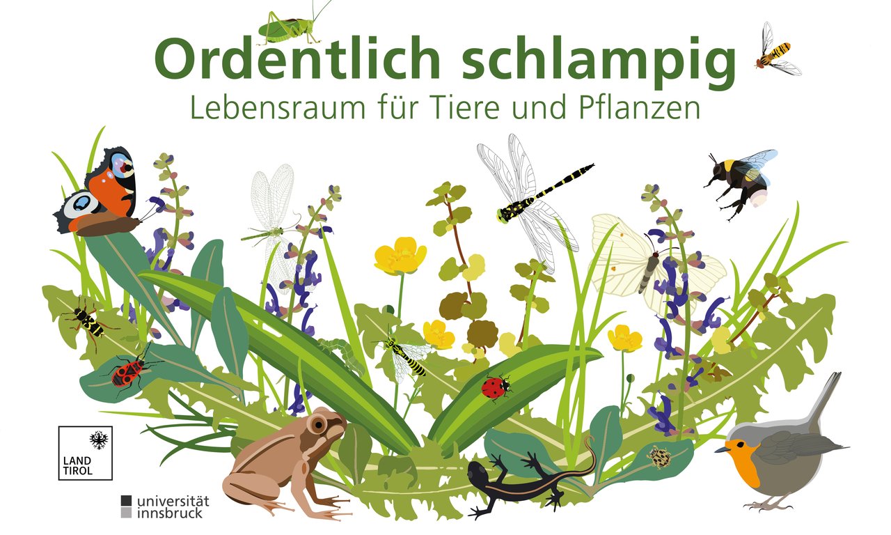 Schild Ordentlich schlampig