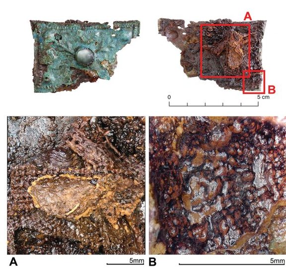 Detailphotos von Textilresten auf der Rückseite einer Pressblechfibel
