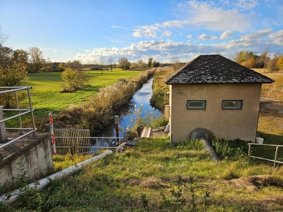 Exkursion in die Donau und Marchauen