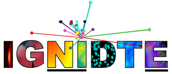 IGNIDTE logo