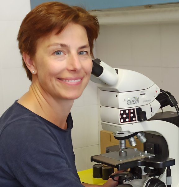 Photo von Mödlinger Marianne