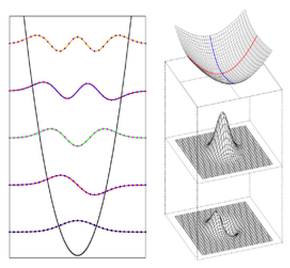 Vibrational Spectroscopy via grid-based approaches
