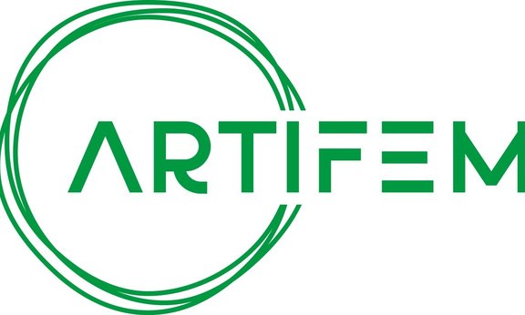 Logo ArtiFEM