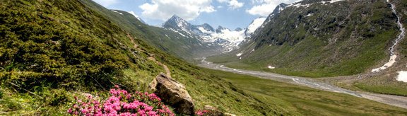 Alpine Landschaft