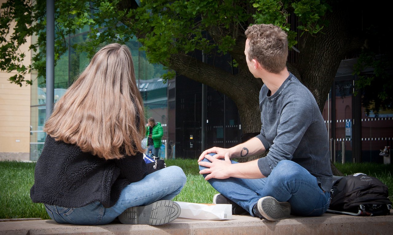 Klängbäume vor dem Haus der Musik