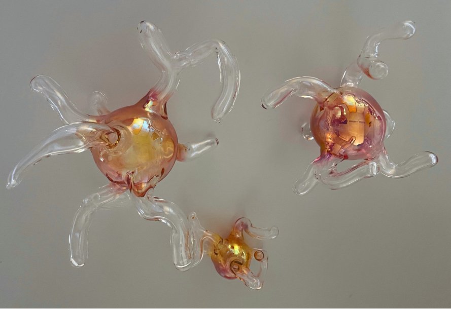 Glasfiguren, die den Pilzsporen des neu entdeckten Pilzes Tyroliella nachempfunden wurden.