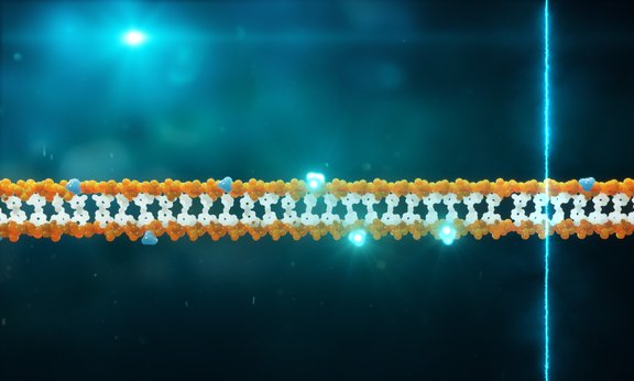 Illustration eines DNA-Strangs