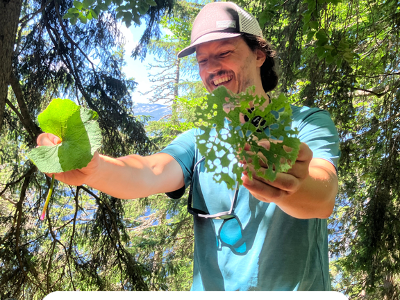 Philipp Kirschner erklärt mit Hilfe eines abgefressenen Blatters anschaulich die verwendete DNA Sequenziermethode