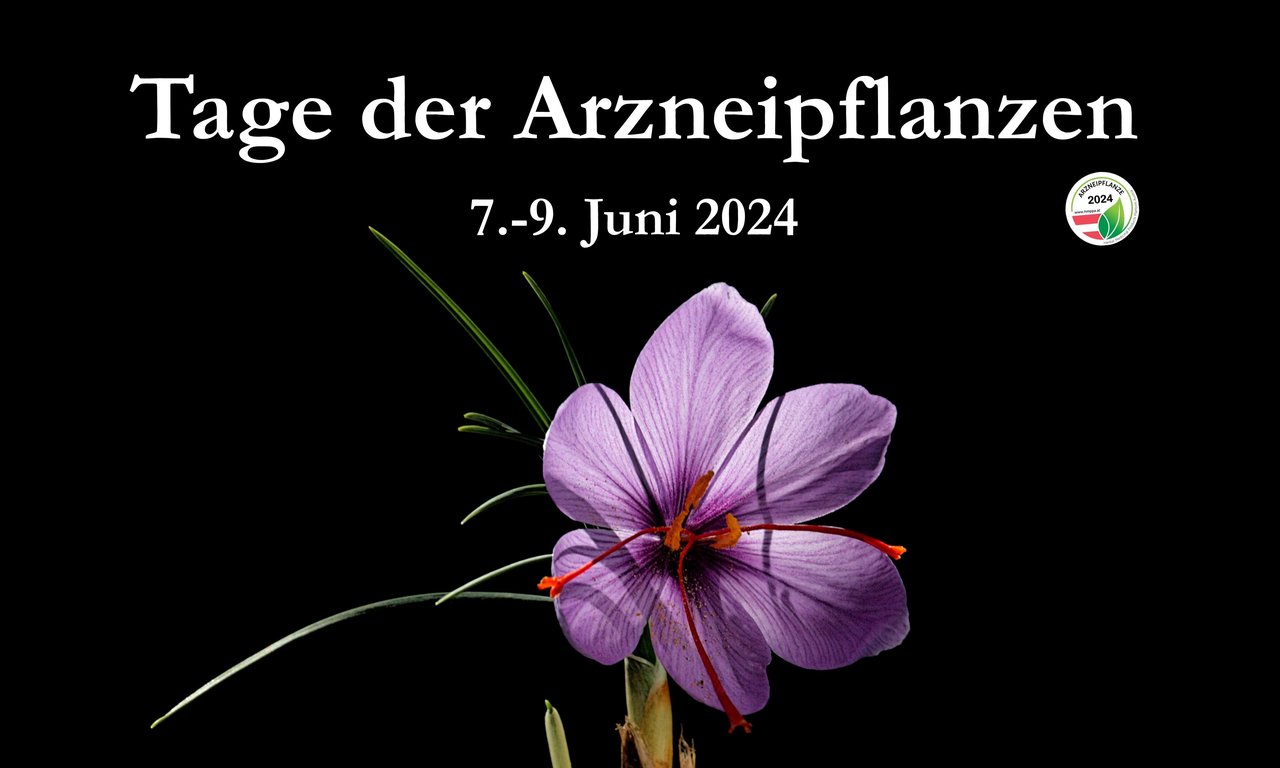 Sujet Tage der Arzneipflanzen 2024