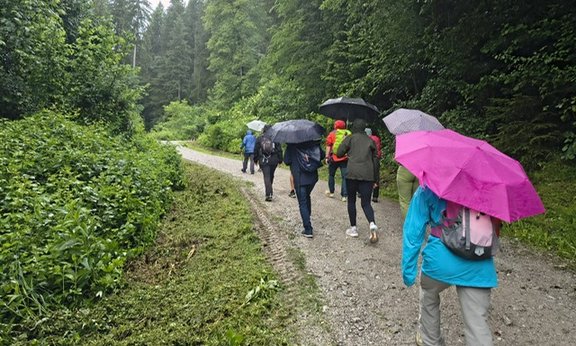 Hikers with umbrellas