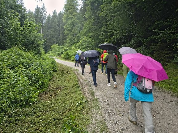 Wandernde mit Schirmen